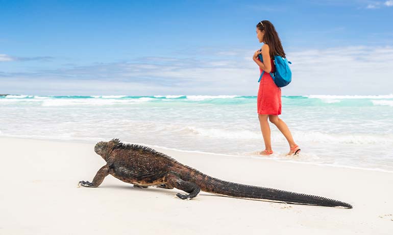 Is It Safe to Travel to Galapagos Islands