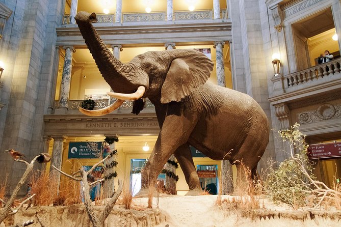 Explore the Smithsonian Museums