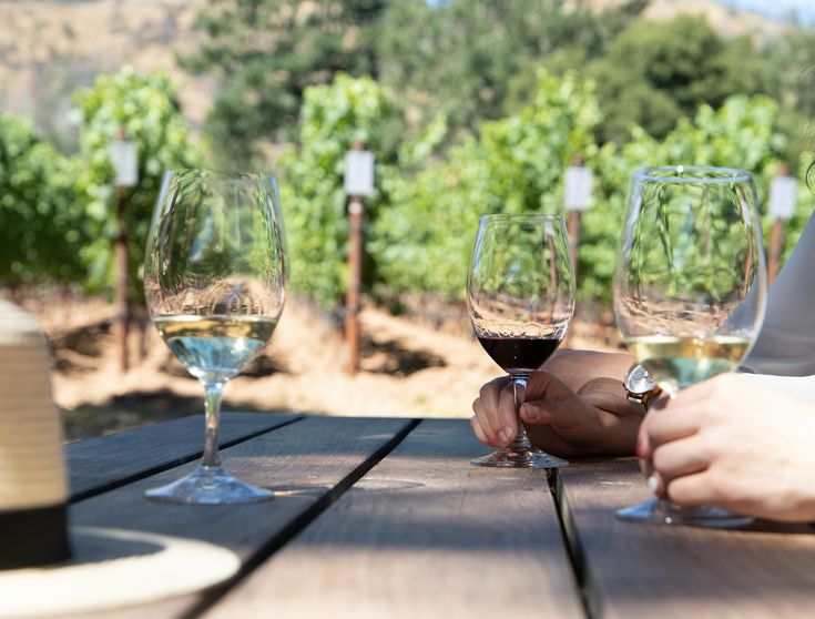 Go Wine Tasting in the Nearby Vineyards San Diego