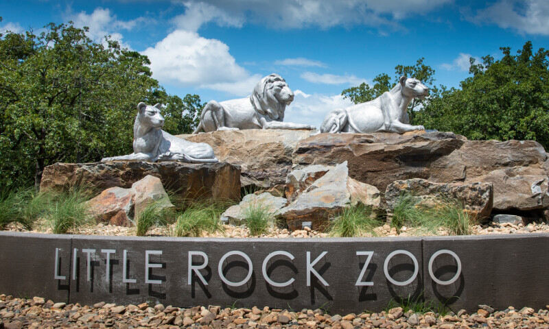 Visiting the Little Rock Zoo