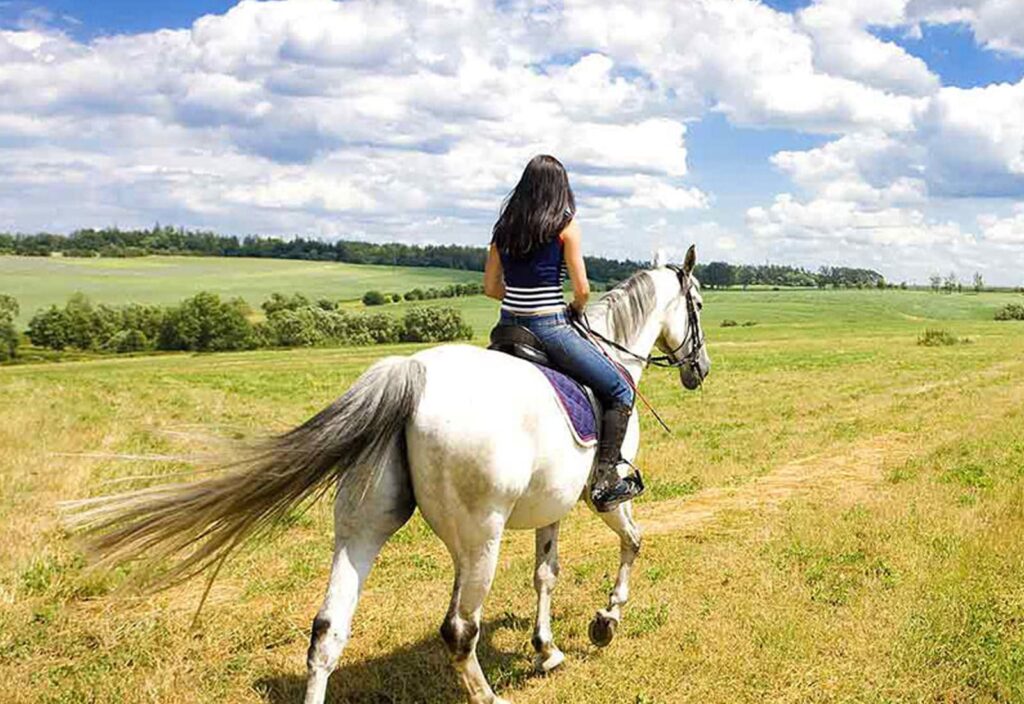Horseback Riding Through Countryside