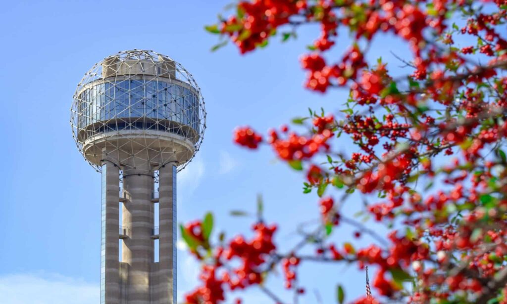 Check Out Reunion Tower