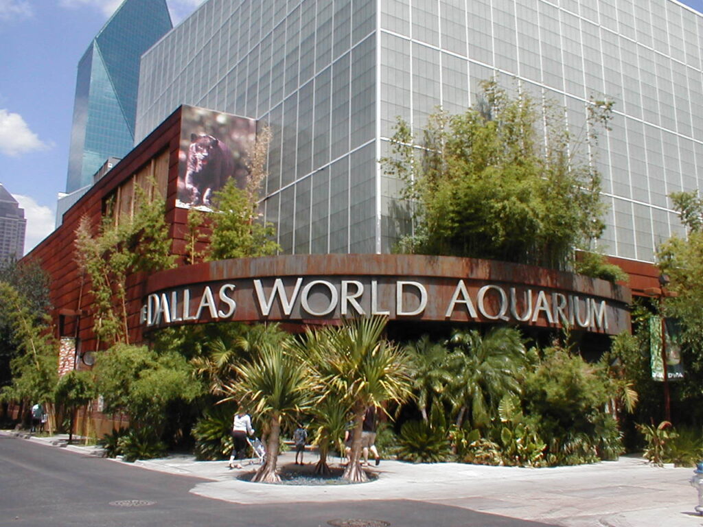 Visit the Dallas World Aquarium