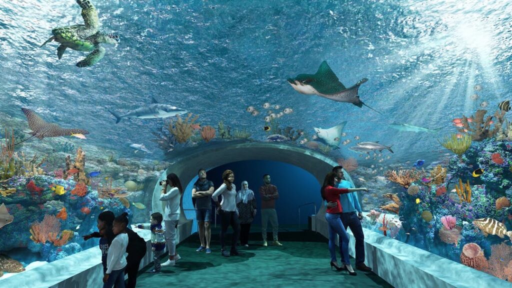 Discover the Shedd Aquarium