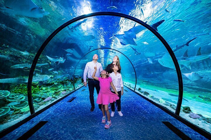 Visit the National Aquarium
