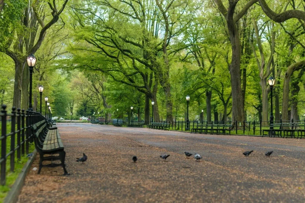 Exploring Central Park's Hidden Gems