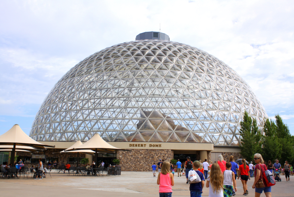 Experience the Thrills at the Omaha Henry Doorly Zoo