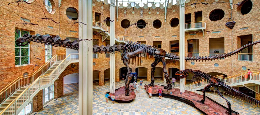 Visit the Fernbank Museum of Natural History