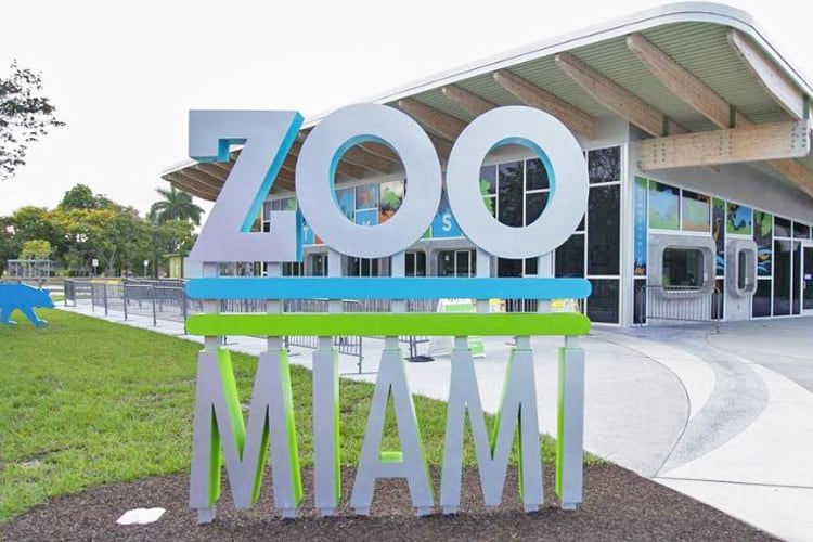 Have Fun at Zoo Miami 