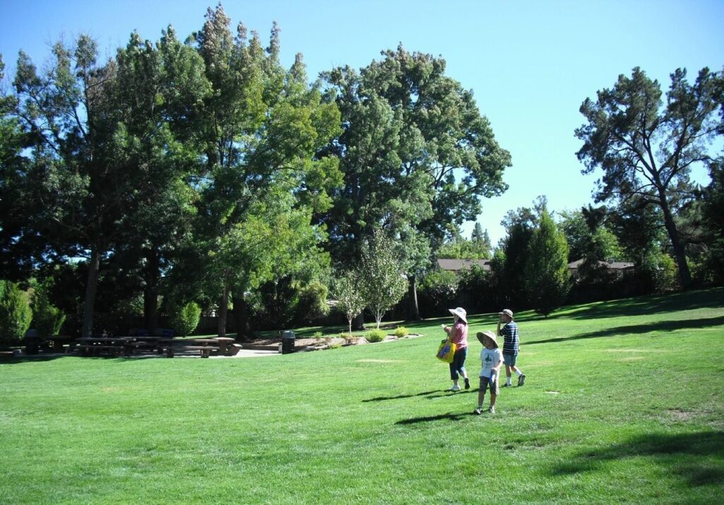 Things to Do in Walnut Creek